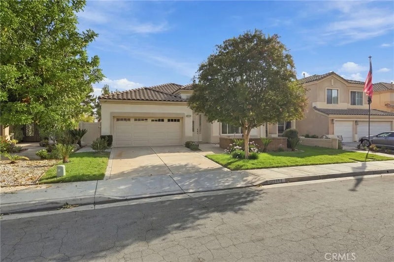 22810 Mountain Ash