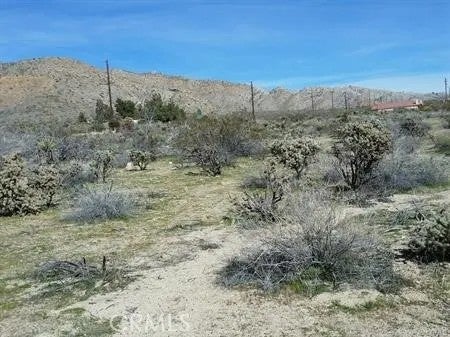0 29 Palms Highway