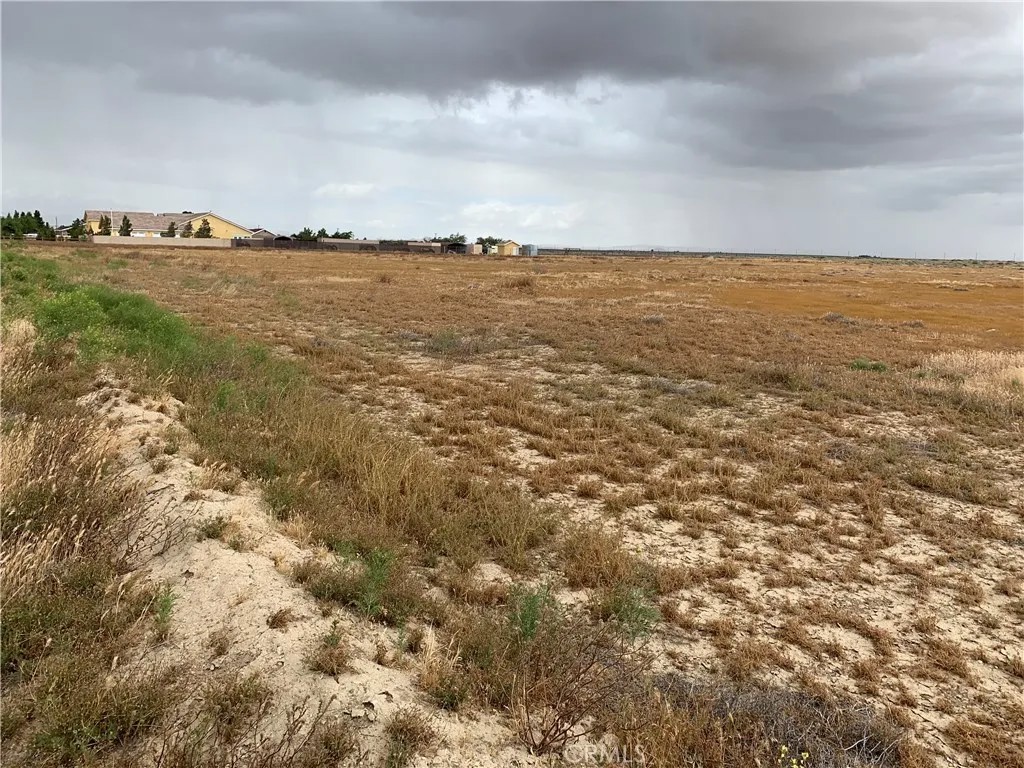 0 Vac/80 Stw/Vic Avenue F6