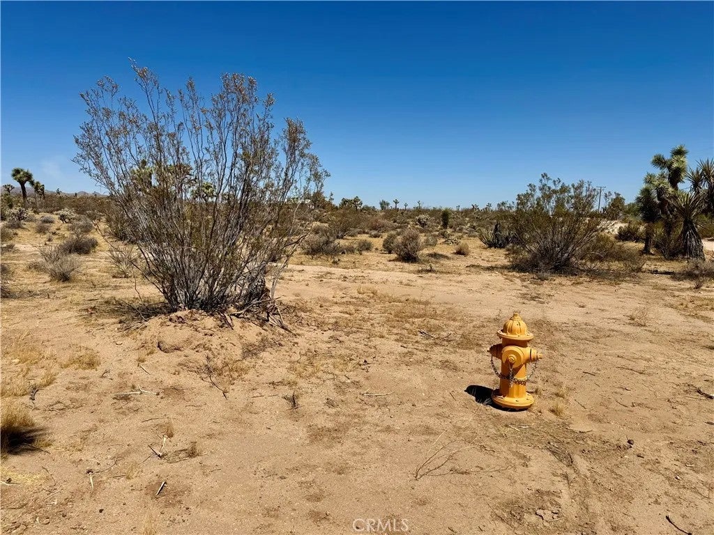 Photo of 2858 Balsa AVE, Yucca Valley, CA 92285 (MLS # JT26180294)