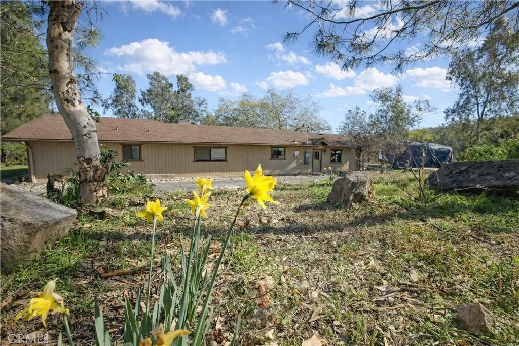 30451 Horseshoe