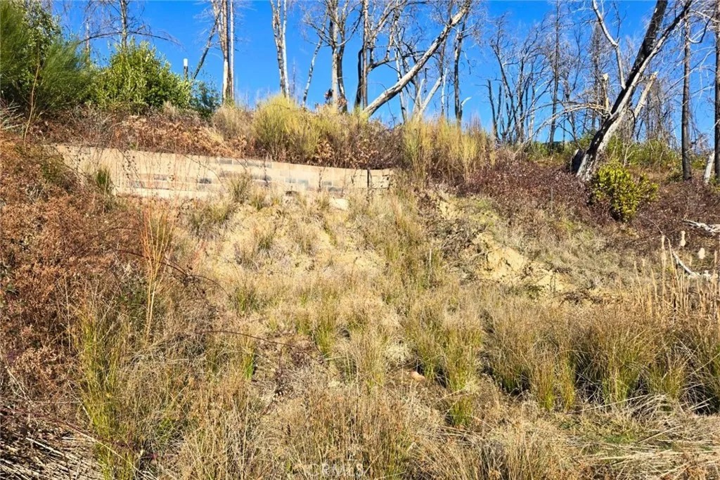89 Meadow