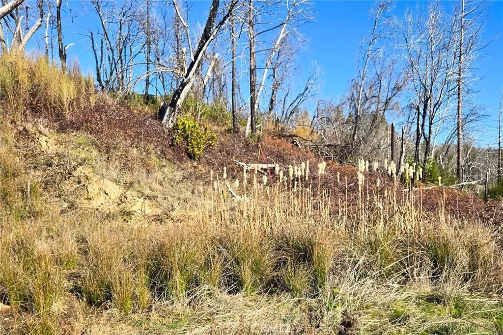 89 Meadow