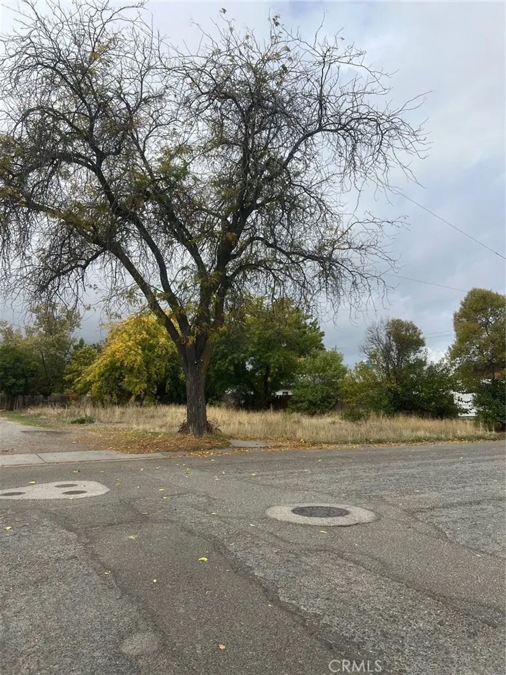 Photo of 304 6th St, Corning, CA 96021 (MLS # SN25253385)