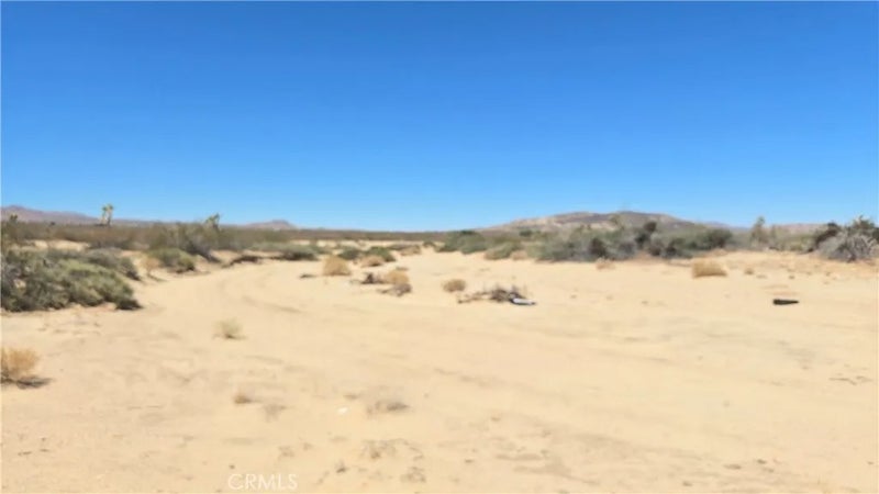 4102 Pine (Jackrabbit)
