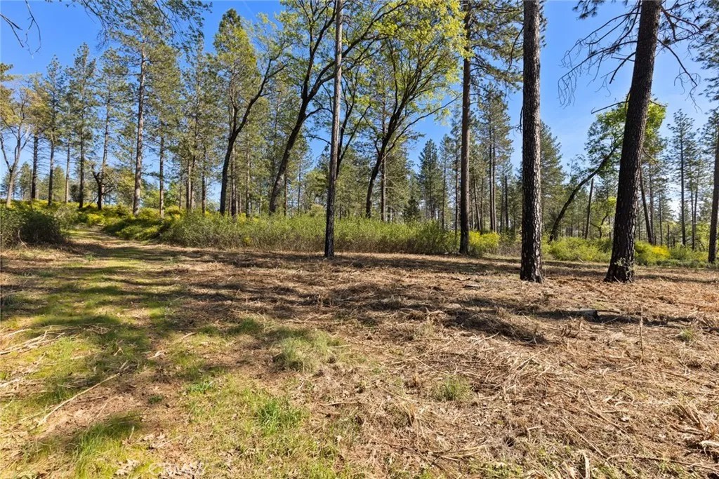 2922 Lost Ridge
