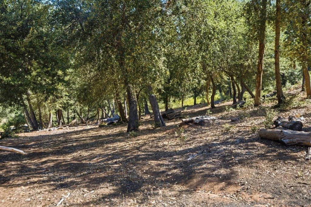Photo of 000 Toyan Mountain Lane, Julian, CA 92036 (MLS # 260016280)