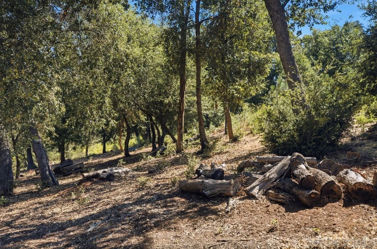000 Toyan Mountain Lane 14