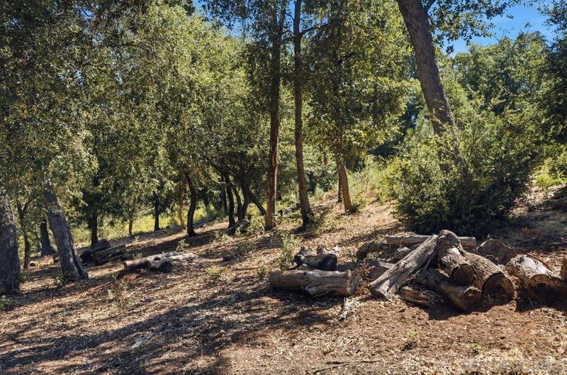 000 Toyan Mountain Lane 14