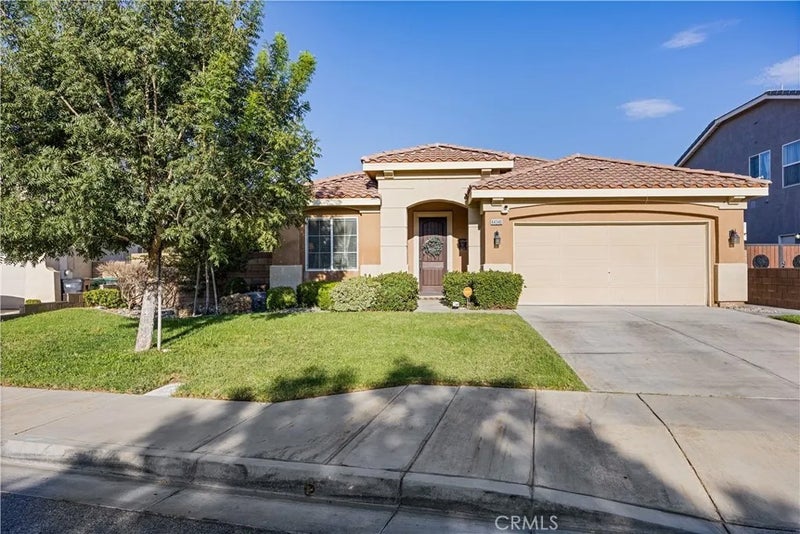 44340 Acacia