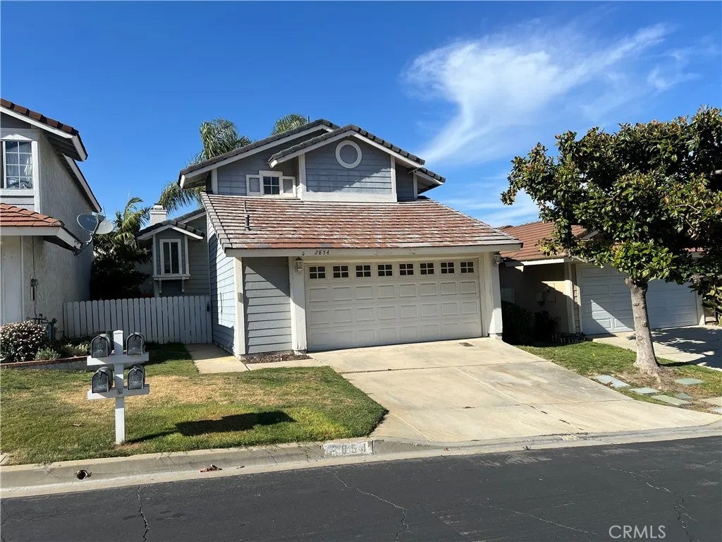 2854 Woodsorrel