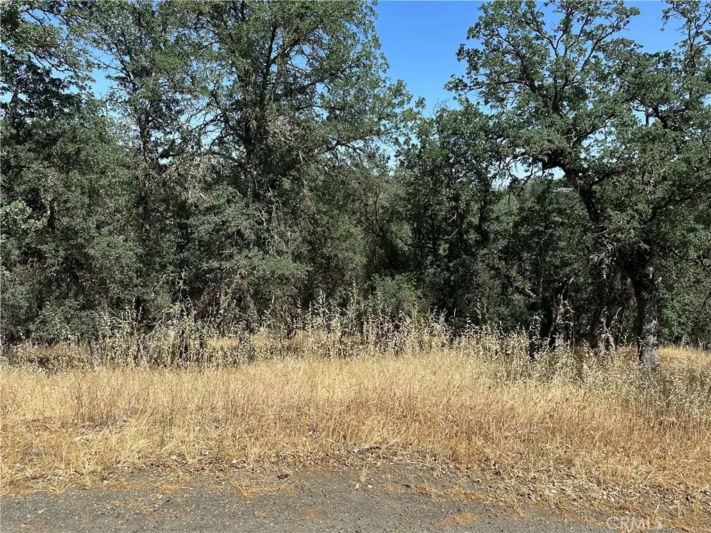 18051 Vista Point