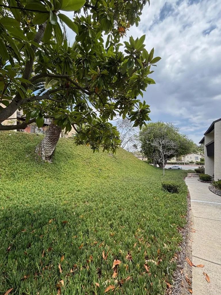 3522 Fairlomas Drive