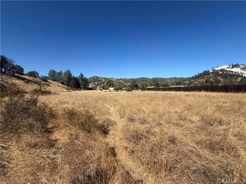 2595 Spring Valley