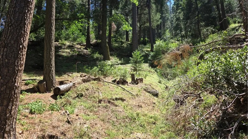 0 Deer Run