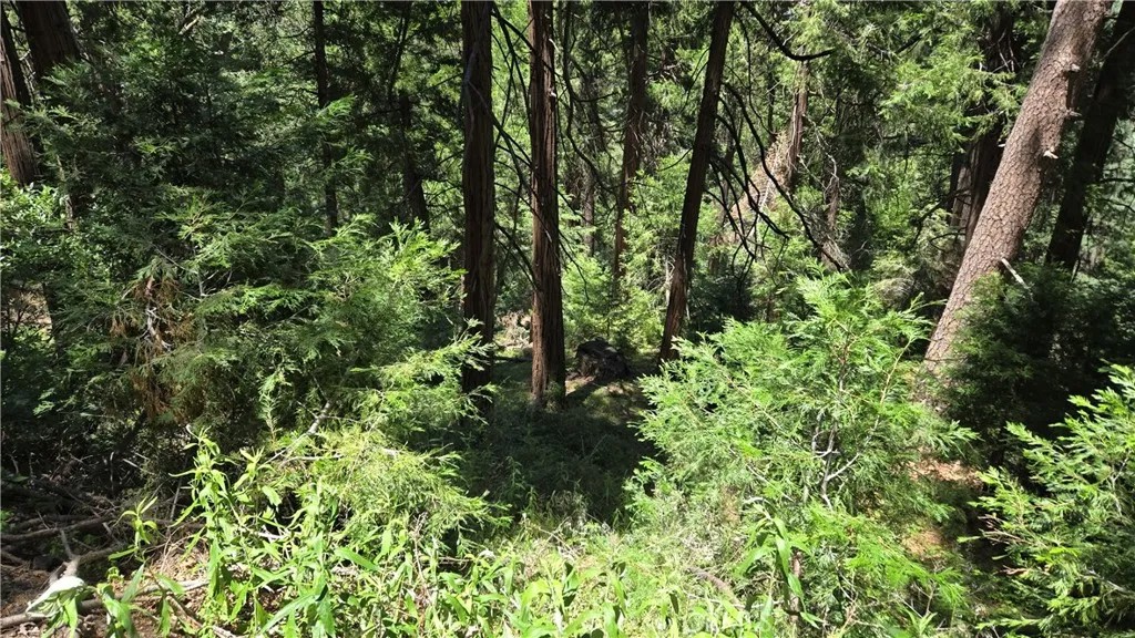 0 Deer Run