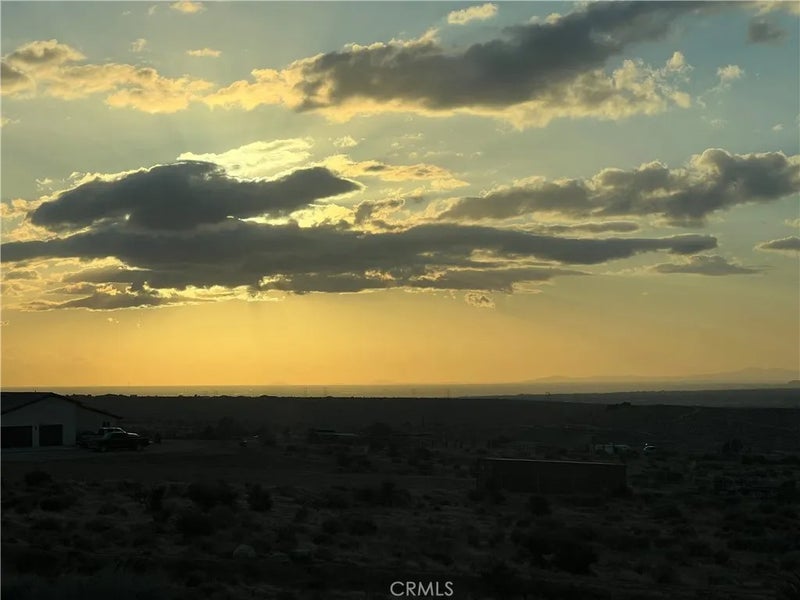 3 Ocotillo
