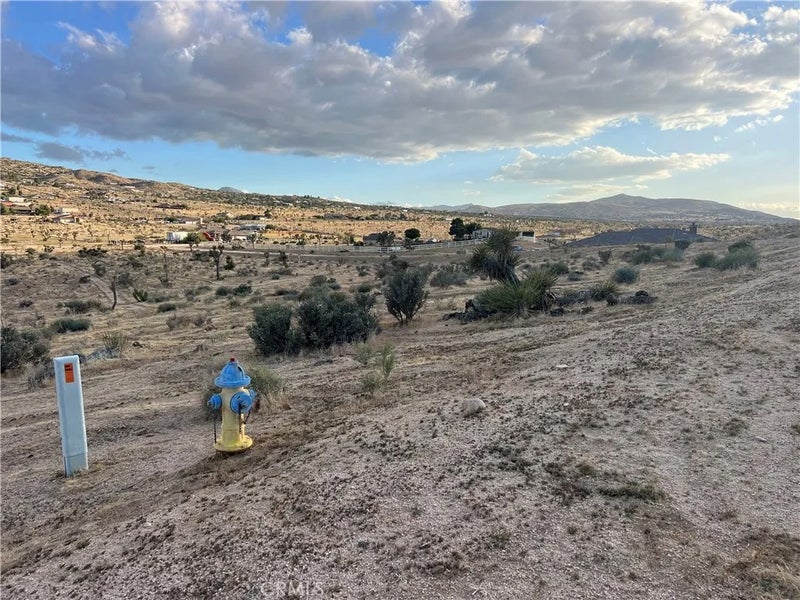 3 Ocotillo