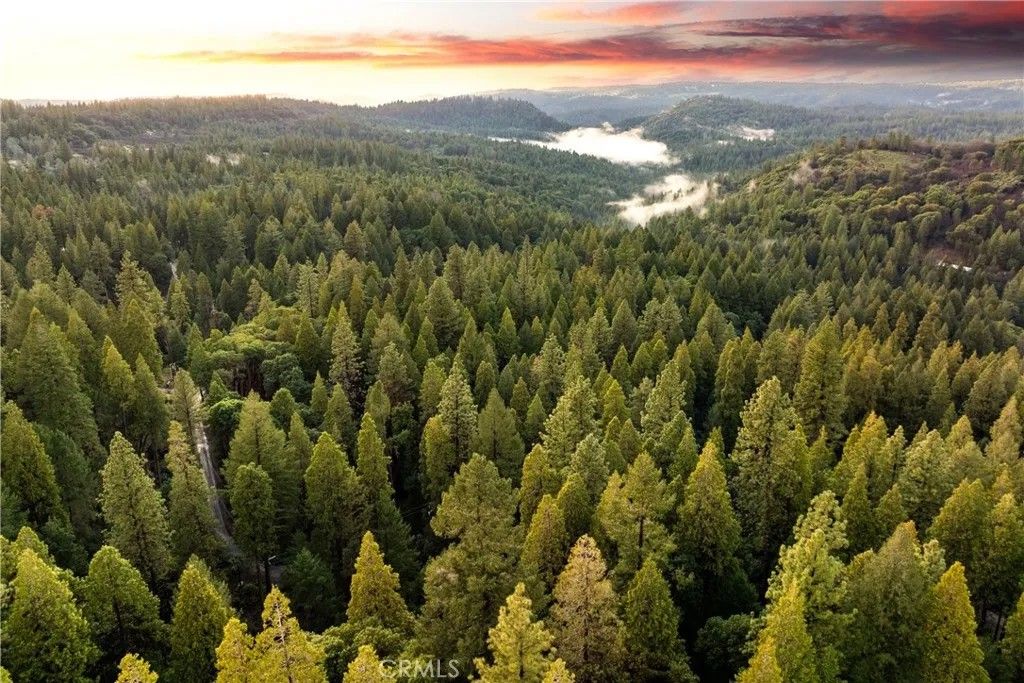 Photo of 24870 Ridgecrest Dr, Pioneer, CA 95666 (MLS # IV26013554)