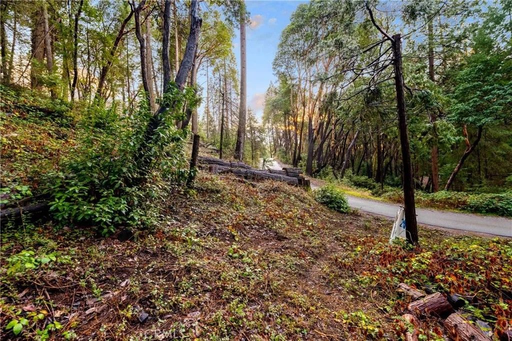 Photo of 24870 Ridgecrest Dr, Pioneer, CA 95666 (MLS # IV26013554)