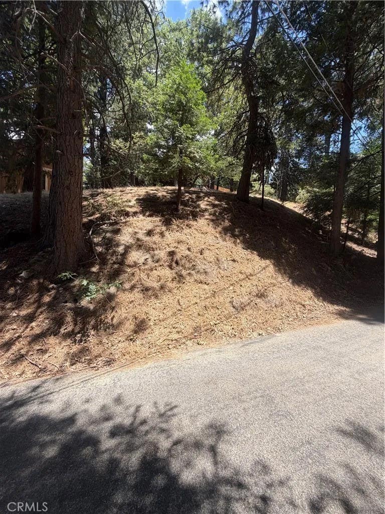 Photo of 0 Dart Canyon, Crestline, CA 92325 (MLS # IG26154685)