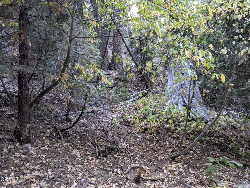 0 Fleming Creek