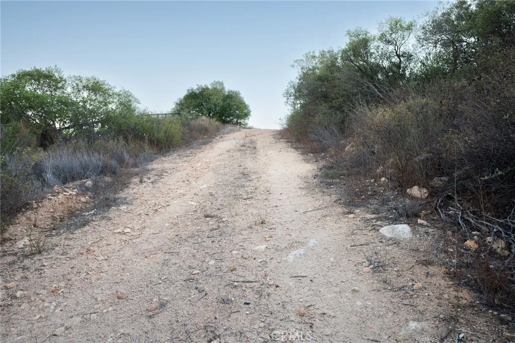 6 Vista Del Bosque