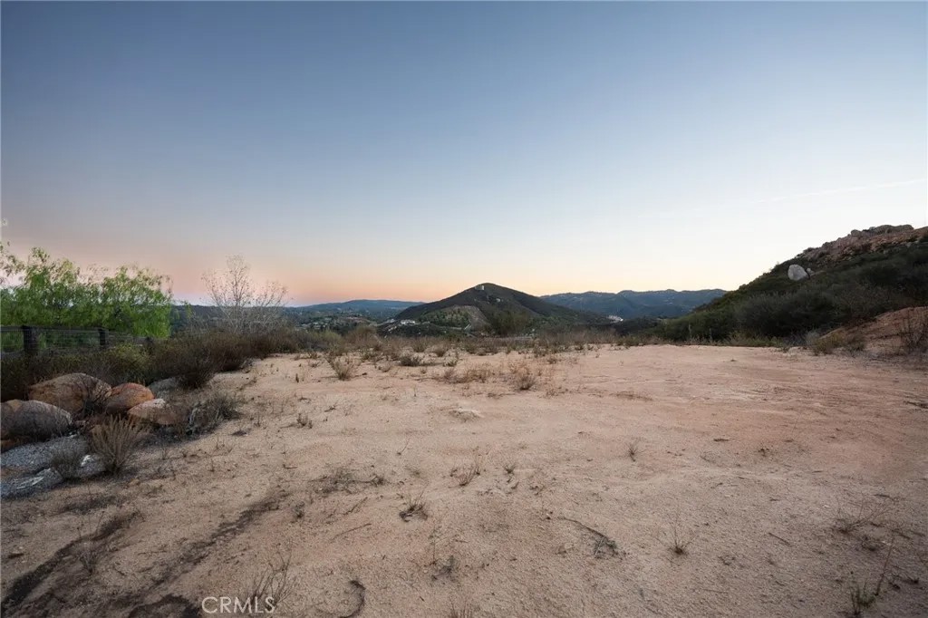 6 Vista Del Bosque