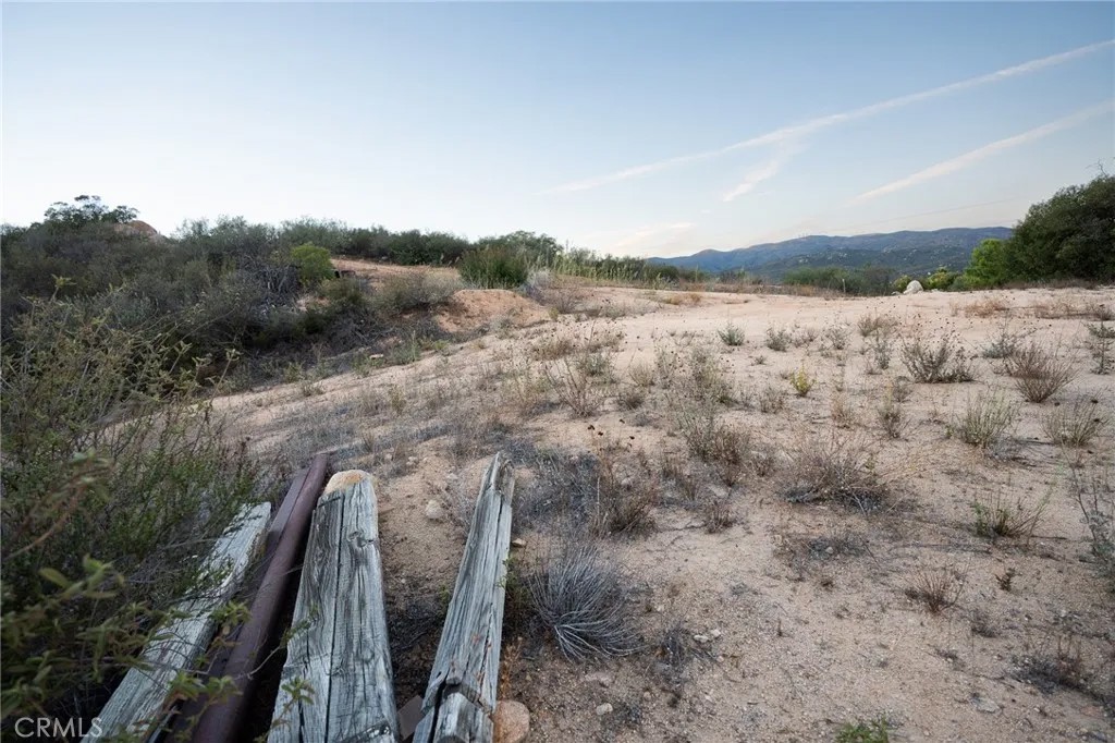 6 Vista Del Bosque