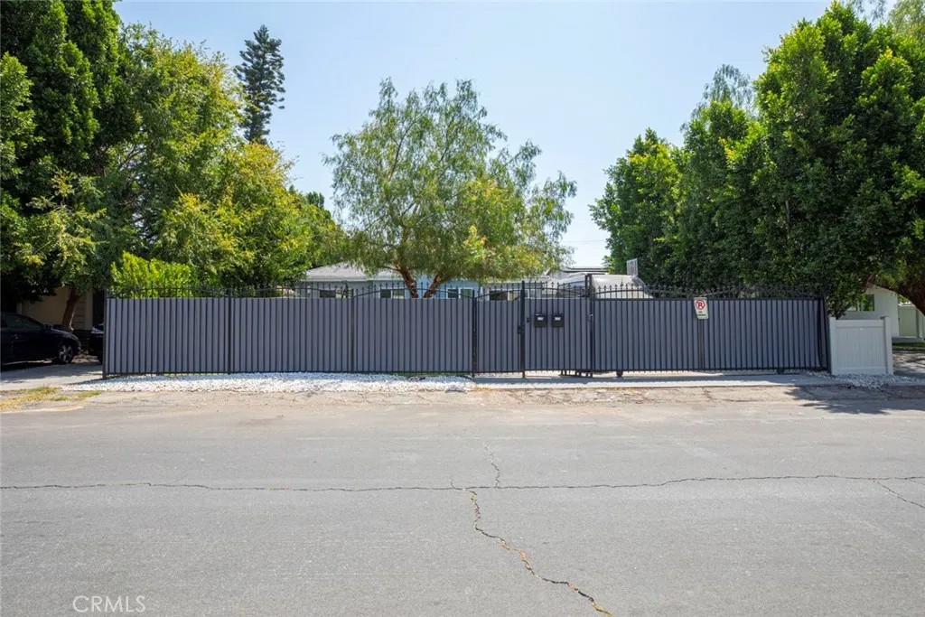 6206 Camellia
