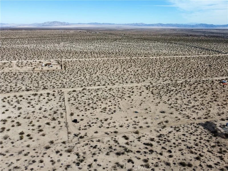 1234 Desert Lily