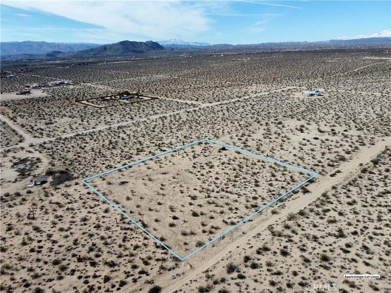 1234 Desert Lily