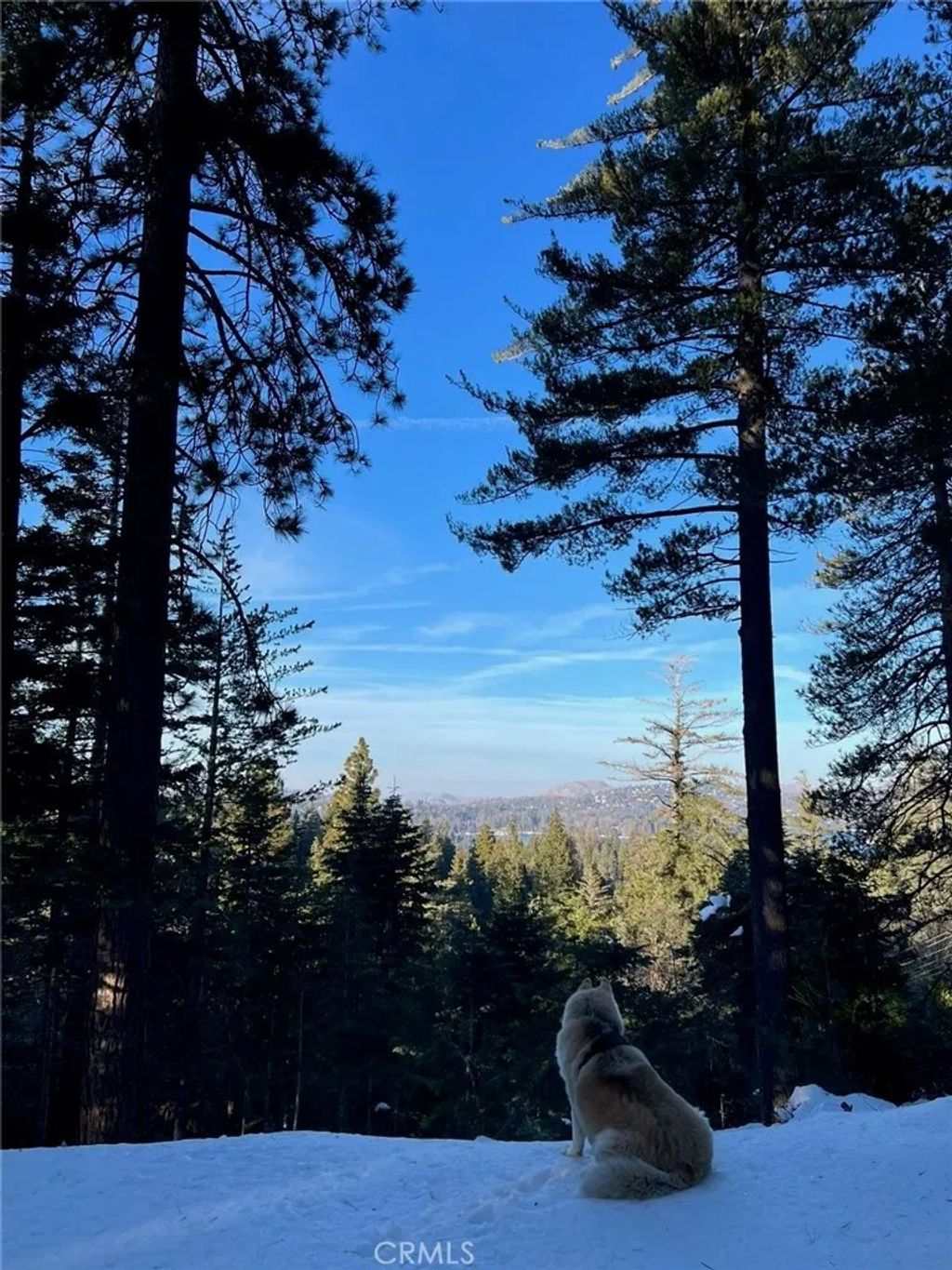 Photo of 525 Ca-173, Lake Arrowhead, CA 92352 (MLS # IG25271978)