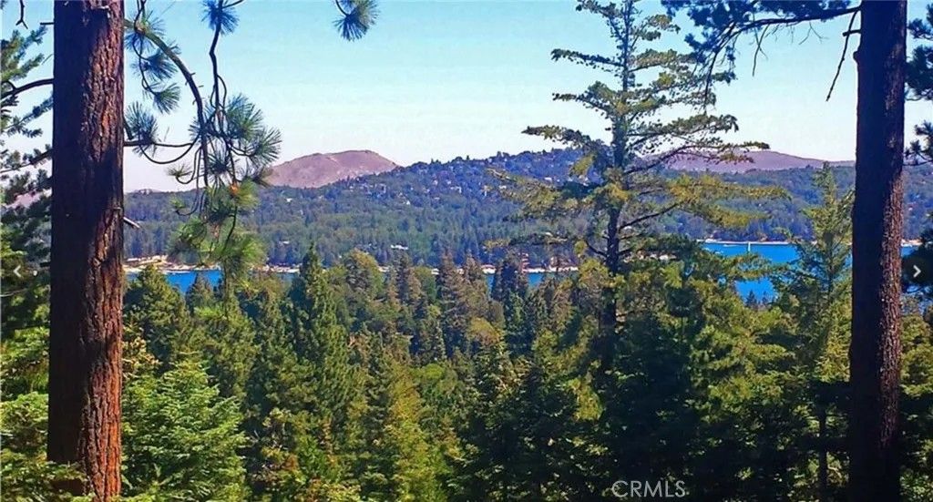 Photo of 525 Ca-173, Lake Arrowhead, CA 92352 (MLS # IG25271978)