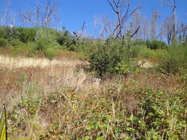 0 Meadow