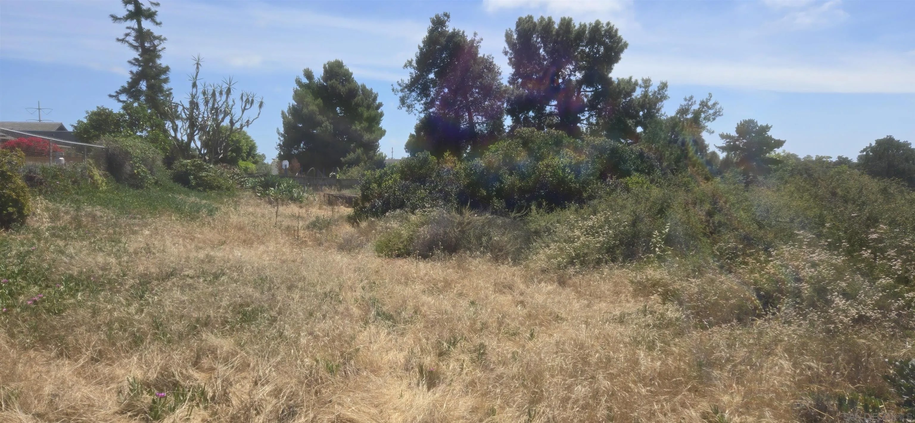 3550 Mount Burnham 7