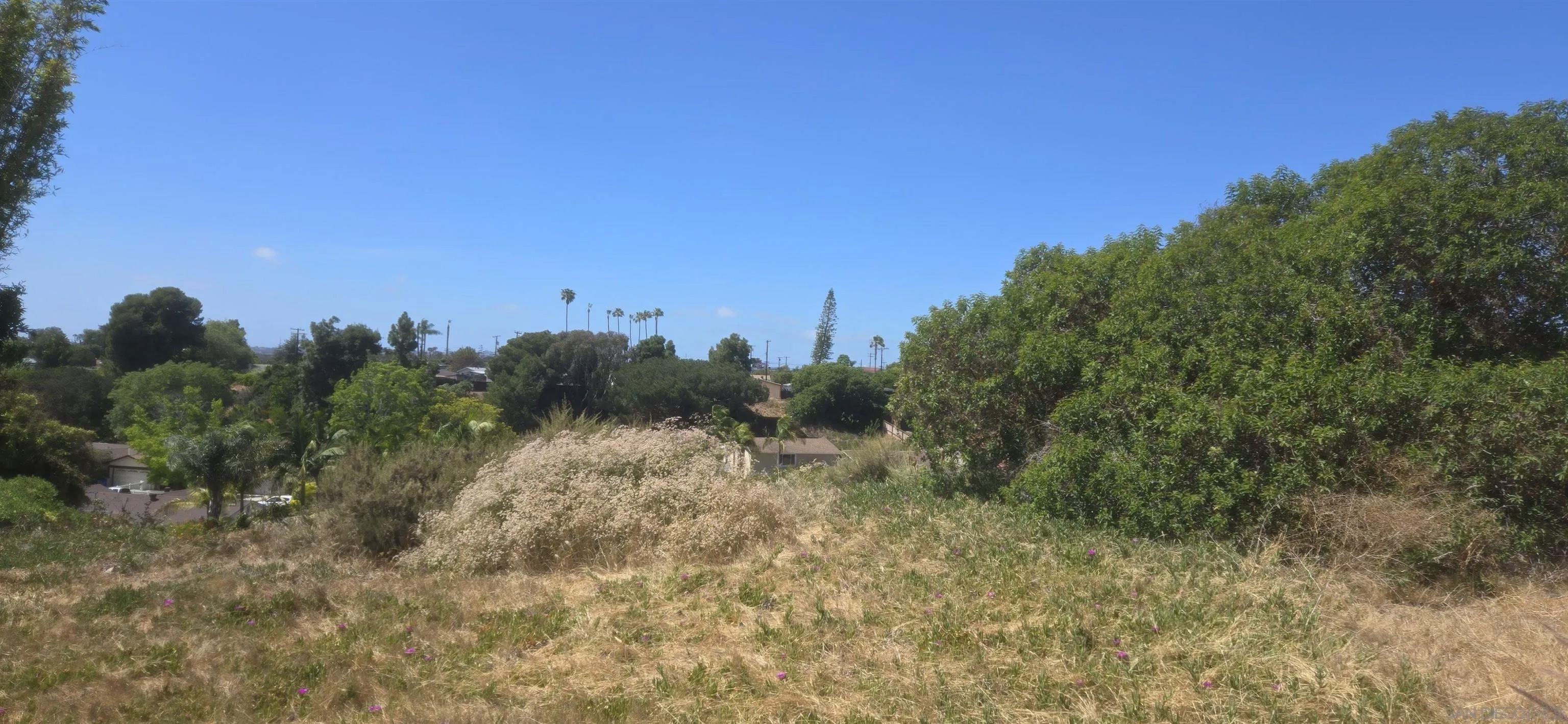 3550 Mount Burnham 7