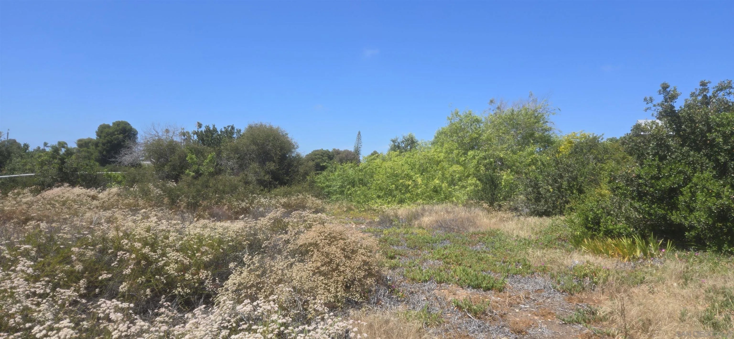 3550 Mount Burnham 7