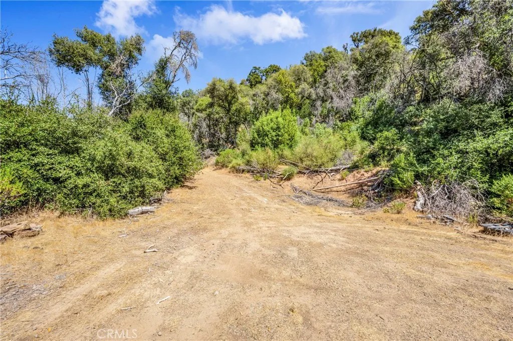 6696 State Hwy 20