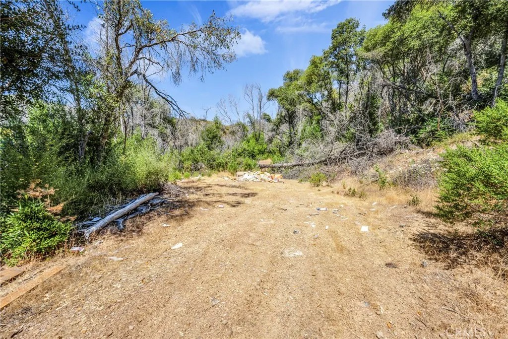 6696 State Hwy 20