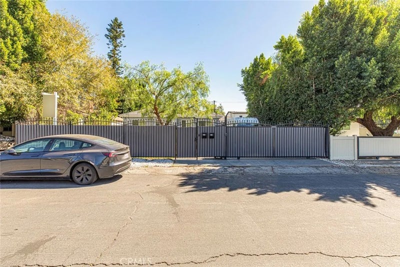 6206 Camellia