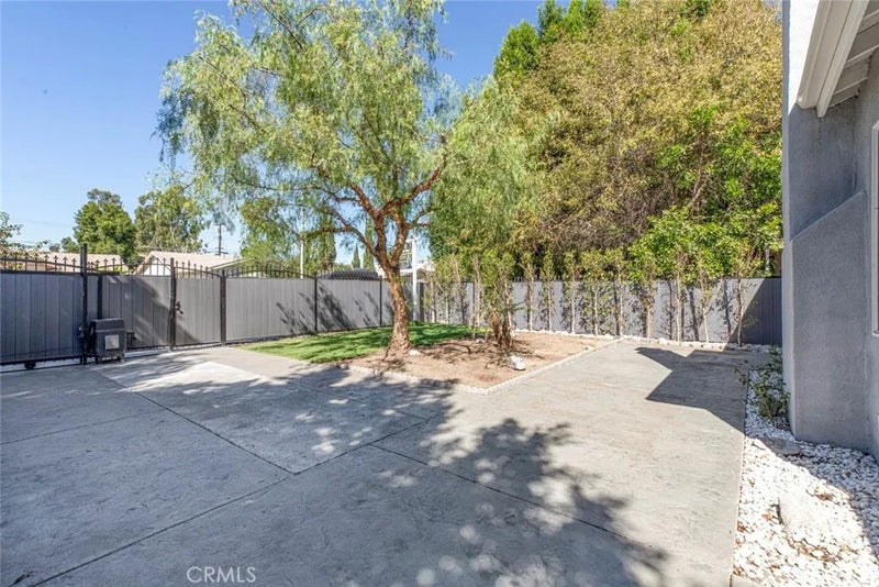 6206 Camellia