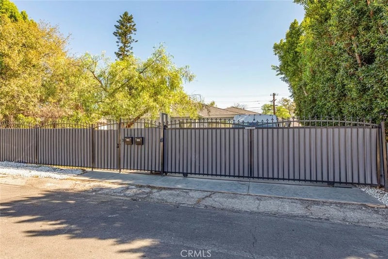 6206 Camellia