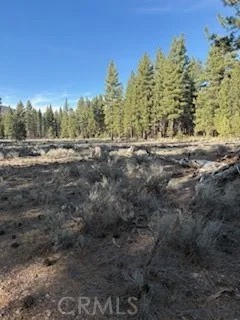 34557 Polique Canyon