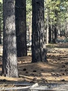 34557 Polique Canyon