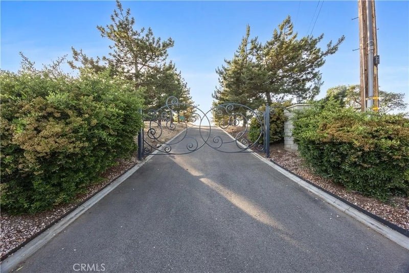 30300 Piebald Court