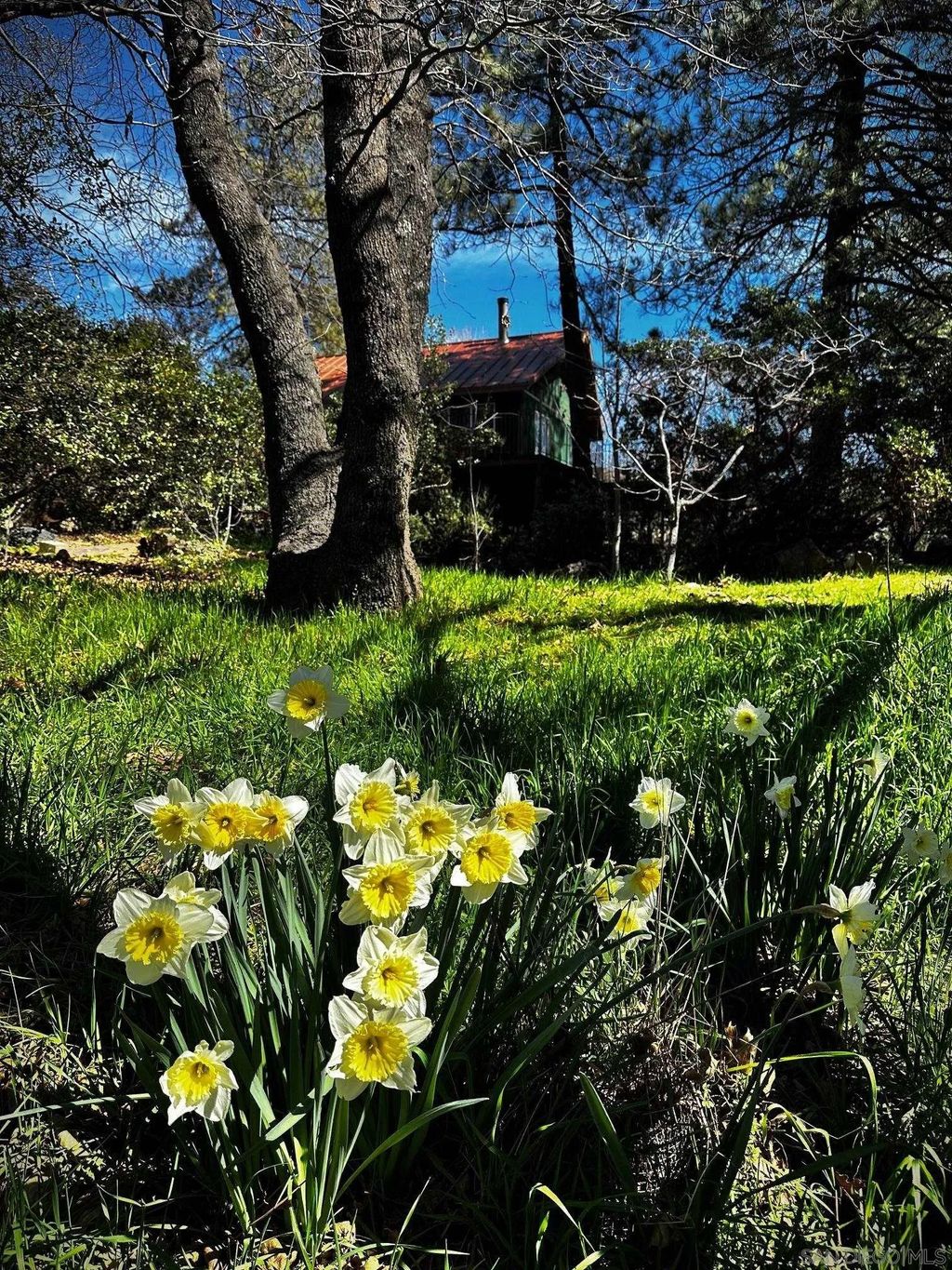 Photo of 721 Pine Cone Drive, Julian, CA 92036 (MLS # 260002009)