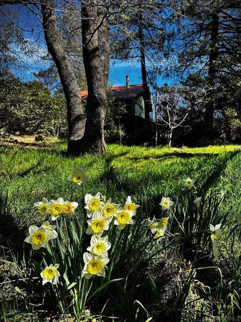 Photo of 721 Pine Cone Drive, Julian, CA 92036 (MLS # 260002009)