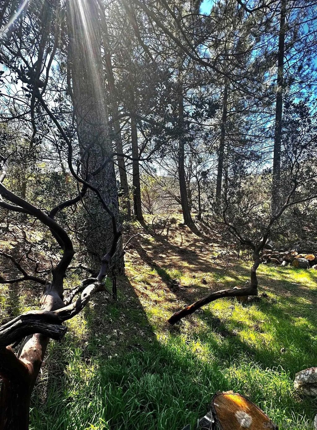 Photo of 721 Pine Cone Drive, Julian, CA 92036 (MLS # 260002009)