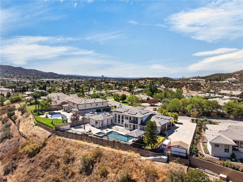 34830 Olive Tree